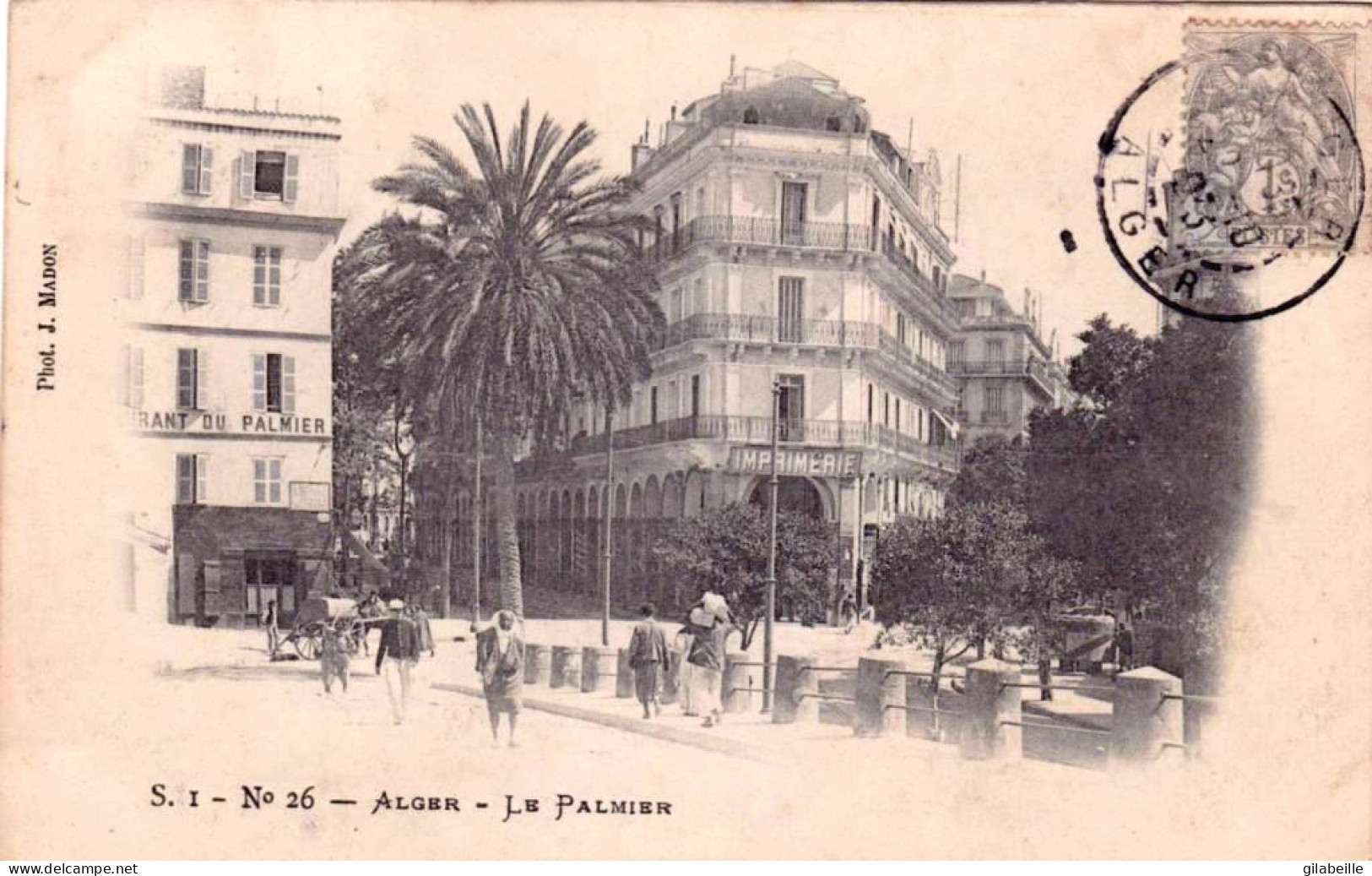 Algerie -  ALGER - Le Palmier - Algeri