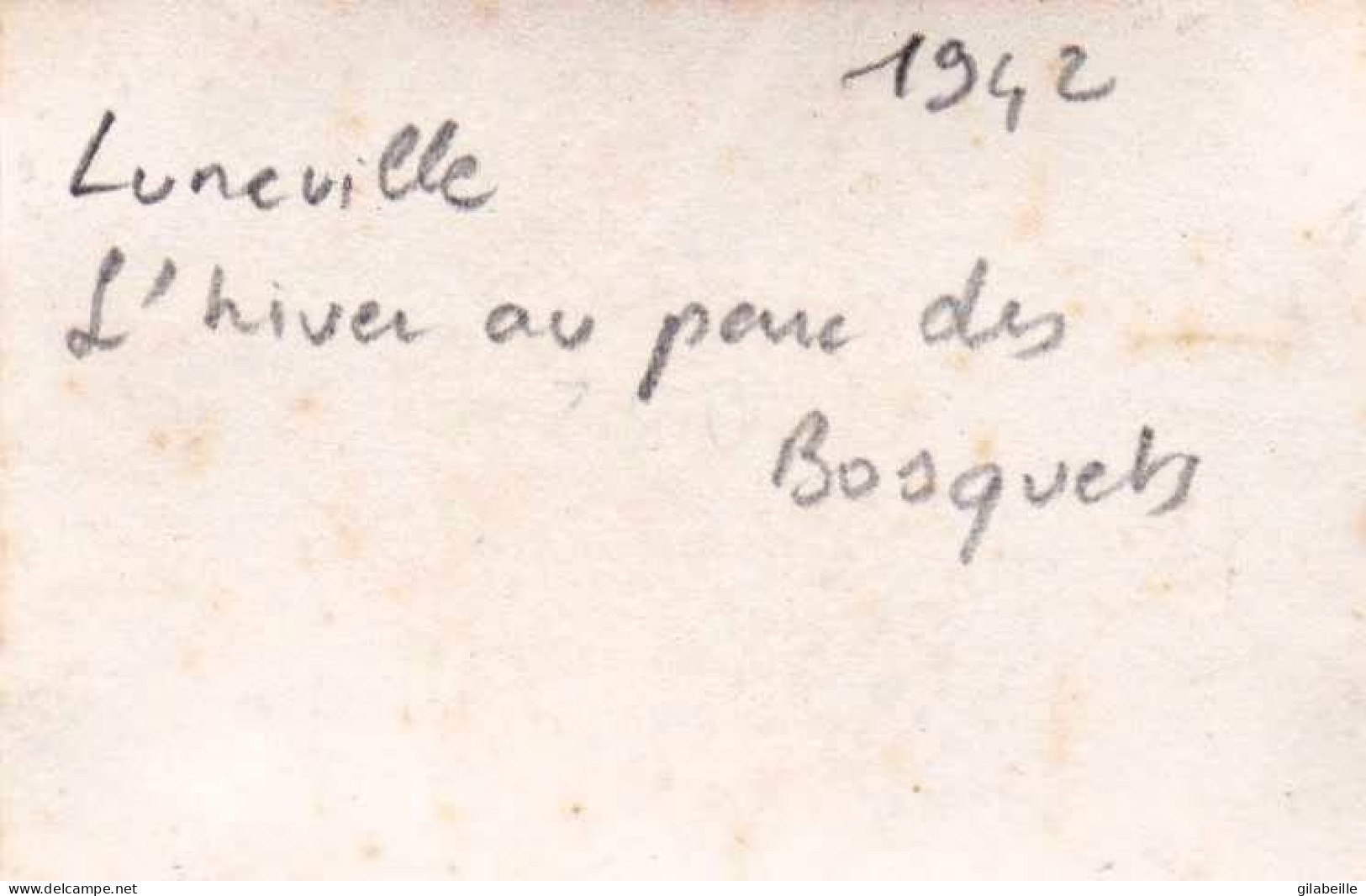 Petite Photo Originale - 1942 - L'hiver Au Parc Des Bosquets A LUNEVILLE ( 54 ) - Lieux
