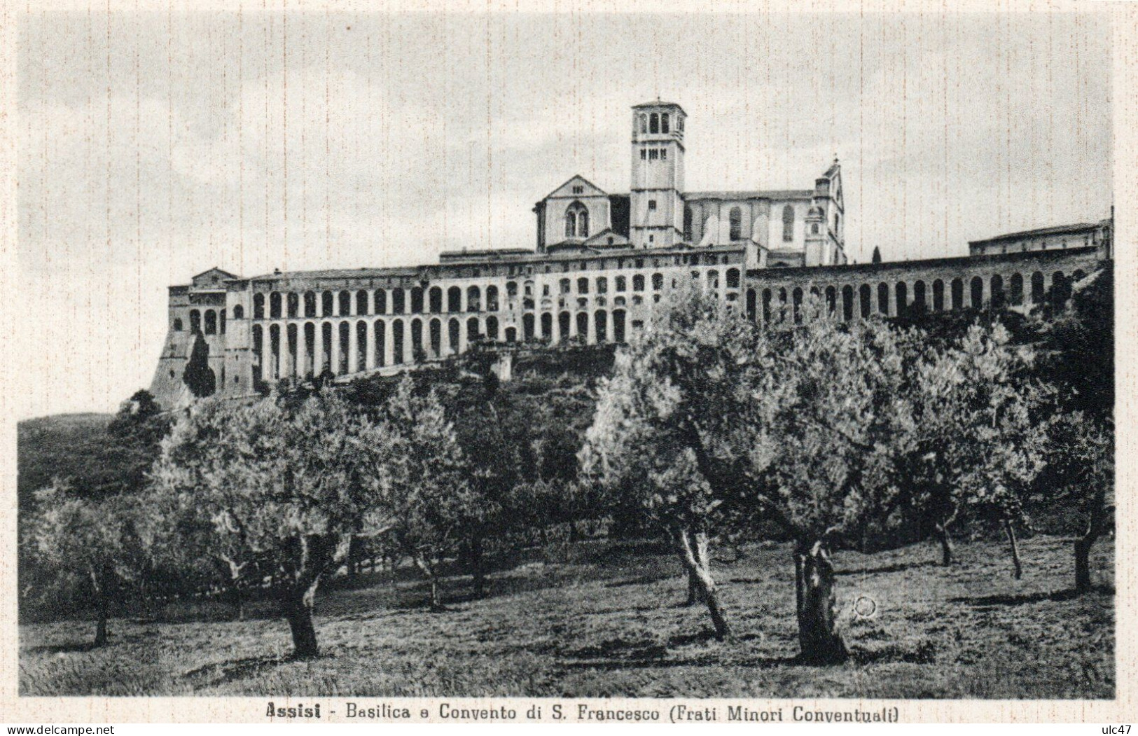 - ASSISI. - Basilica E Convento Di S. Francesco (Frati Monori Conventualli) - - Otros & Sin Clasificación