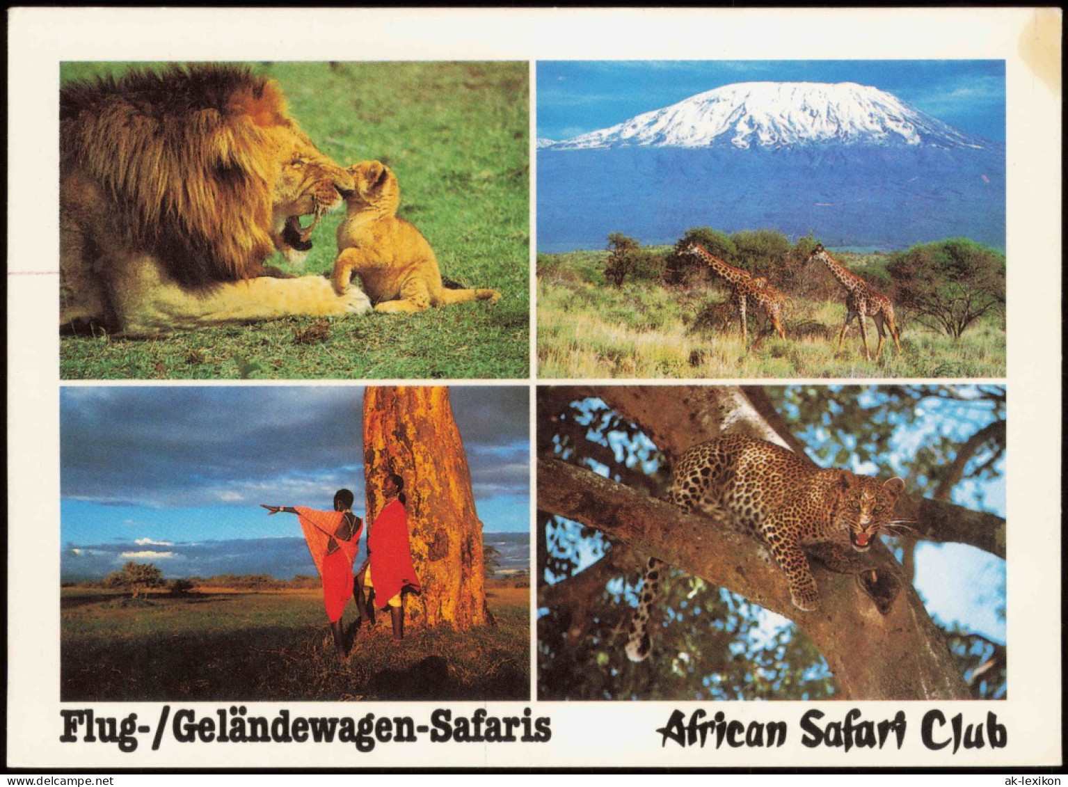 Africa Afrika  Mehrbild-AK African Safari Club, Tiere & Landschaft 1988 - Ohne Zuordnung