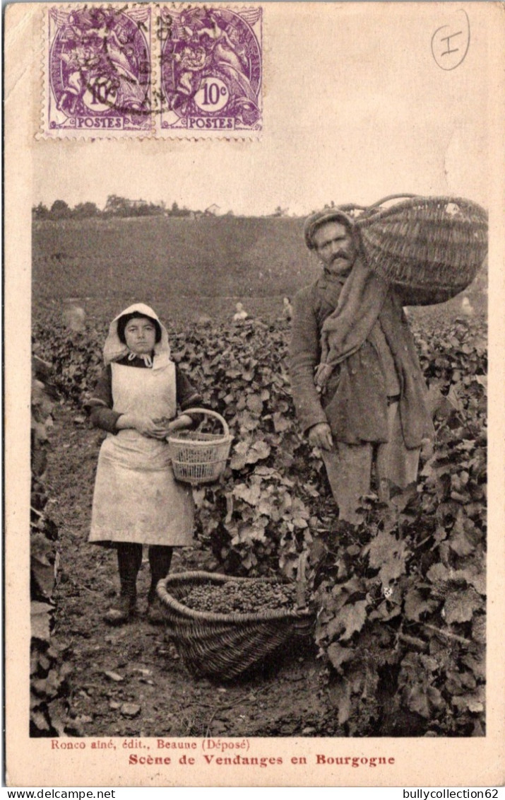 SELECTION -  BEAUNE  -   Scène De Vendanges En Bourgogne - Beaune