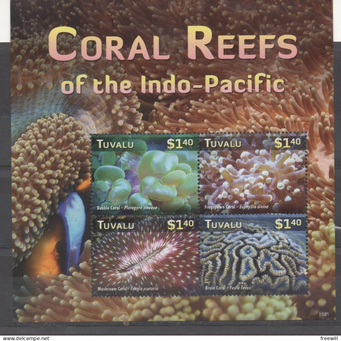 Tuvalu Coraux , Coral Reef - Tuvalu