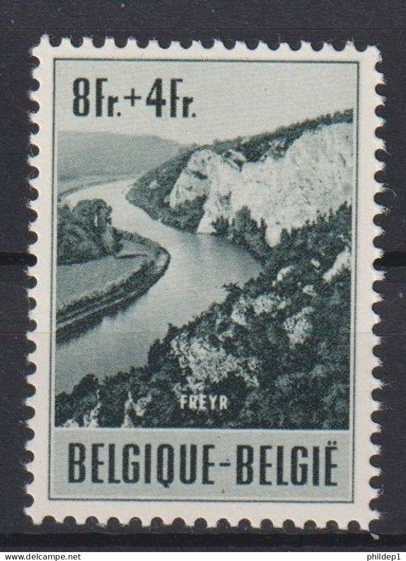 Belgique: COB N° 923 **, MNH. TTB !!! - Unused Stamps