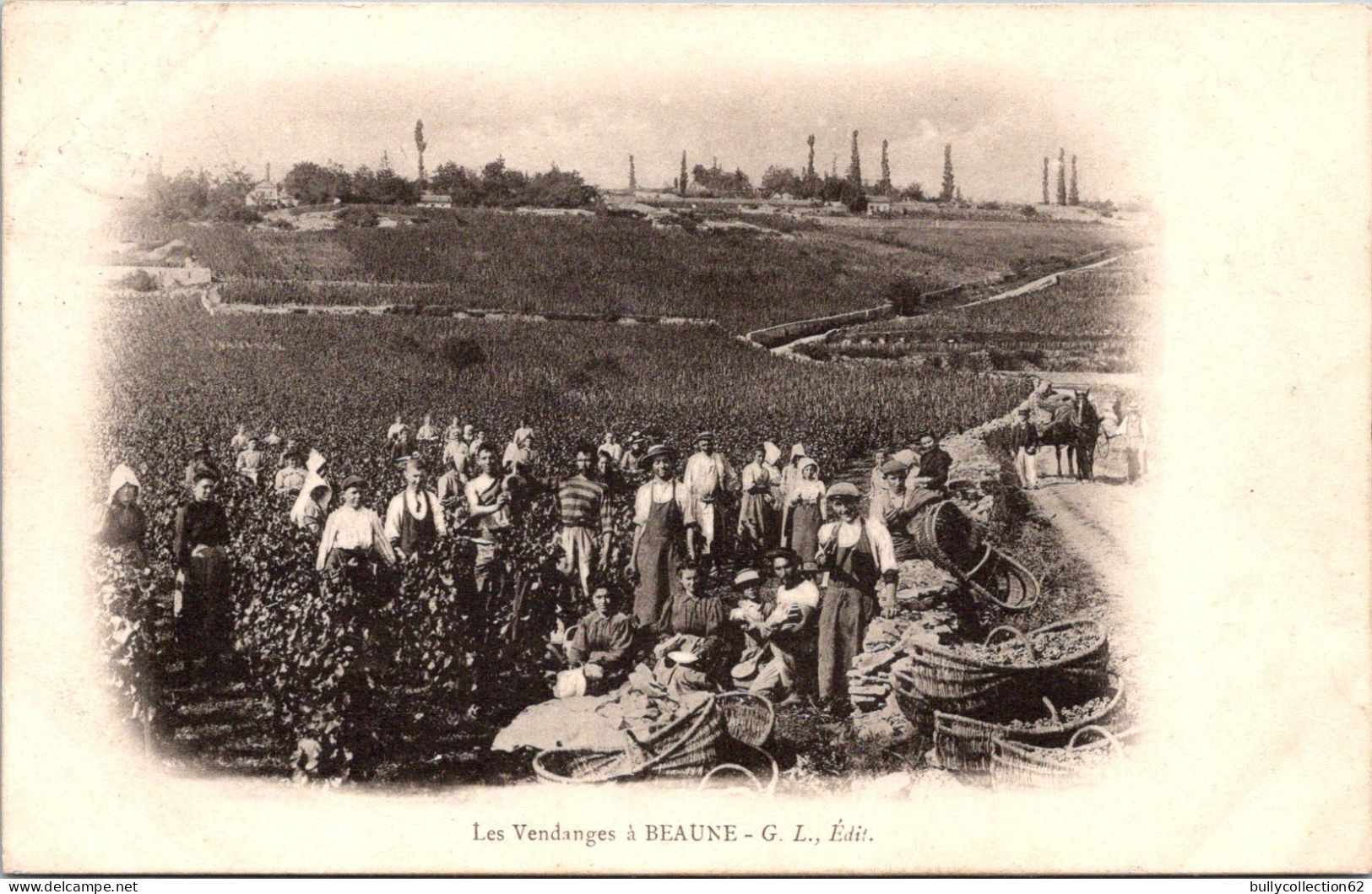 SELECTION -  BEAUNE  -   Les Vendanges En Bourgogne - Beaune