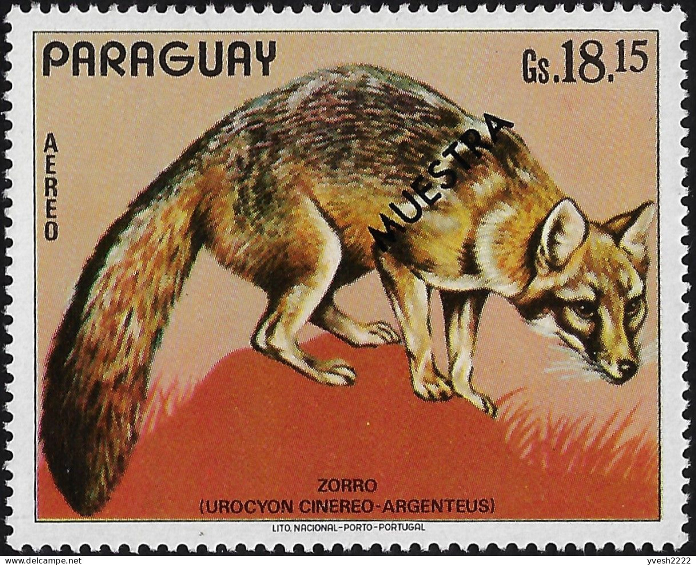 Paraguay 1973 Y&T PA 633 Surchargé Muestra, Spécimen. Renard Gris D'Amérique - Hunde