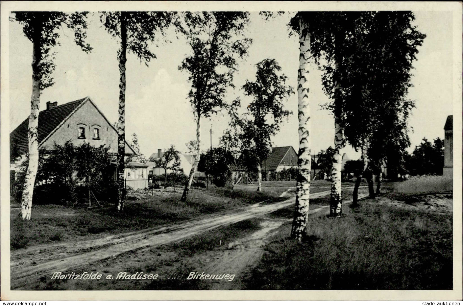 Stargard Moritzfelde Birkenweg I - Polen