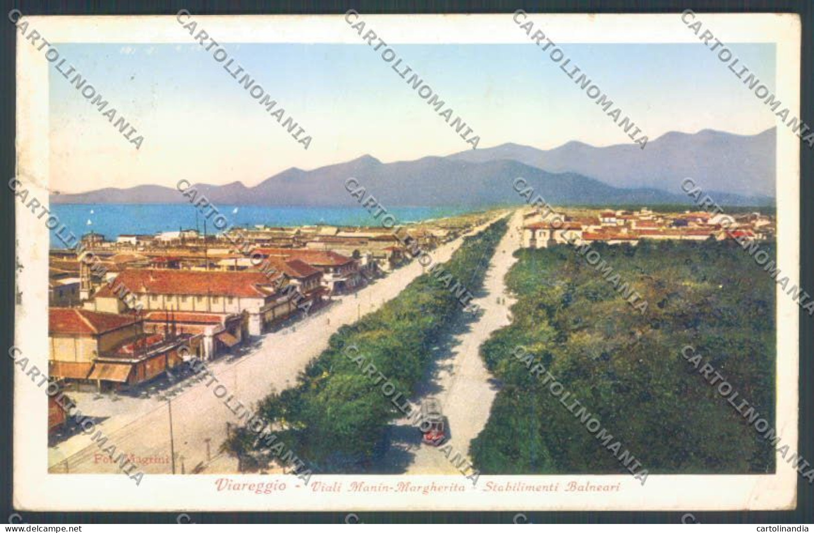 Lucca Viareggio ABRASA Cartolina ZB5274 - Lucca