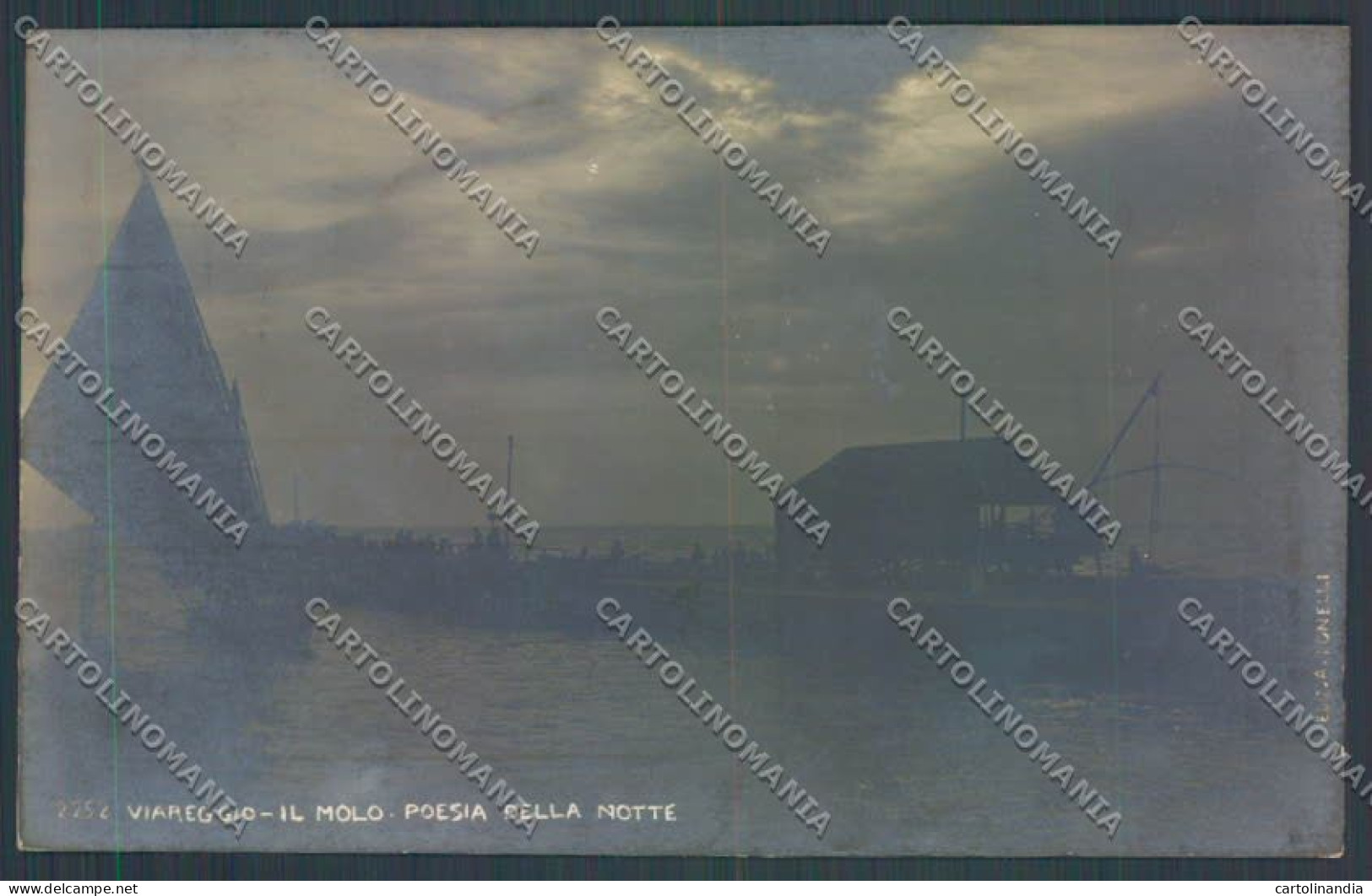 Lucca Viareggio Foto Cartolina ZB5305 - Lucca