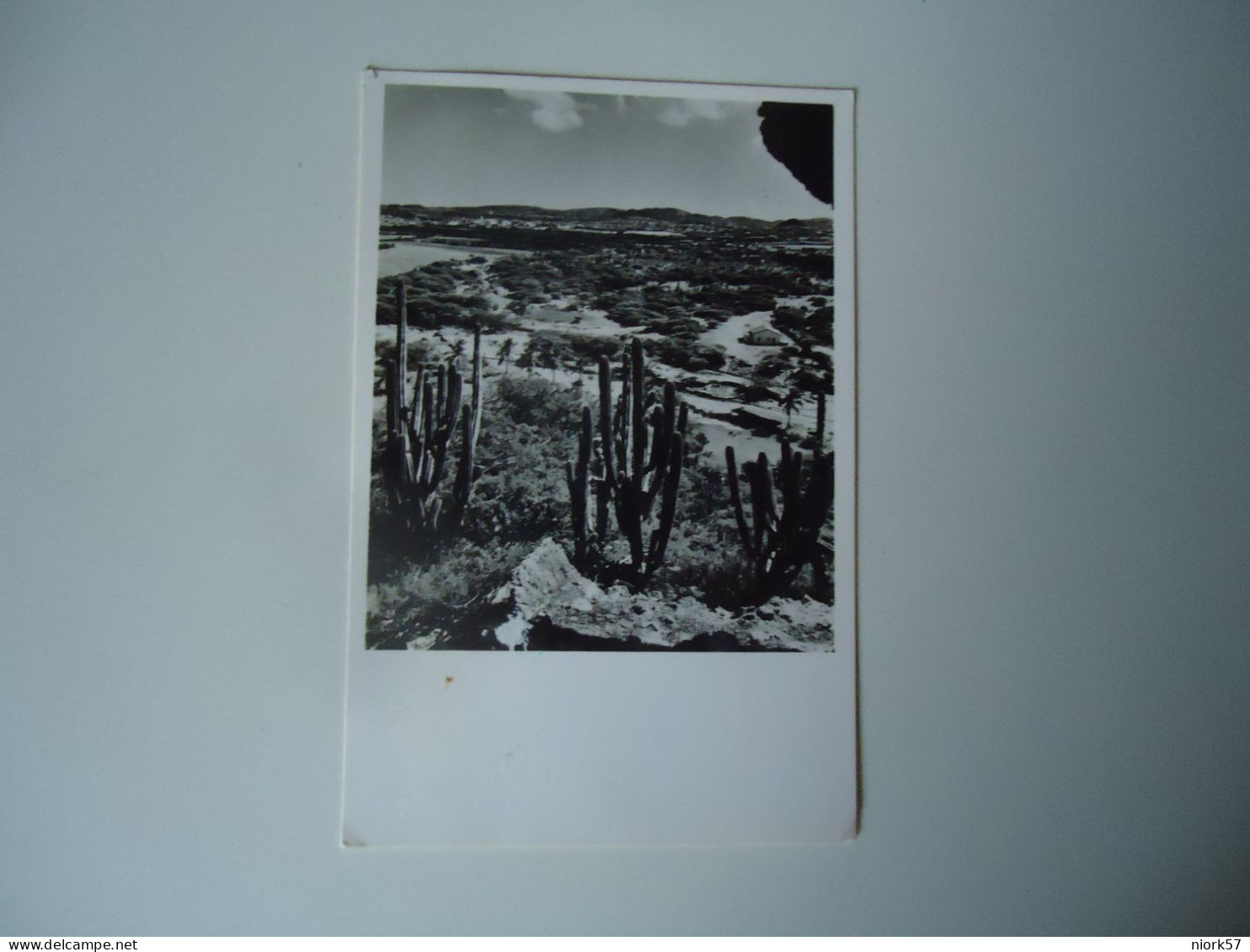 ARUBA  POSTCARDS  1952 SANTA CRUZ    FOR MORE PURCHASES 10% DISCOUNT - Aruba