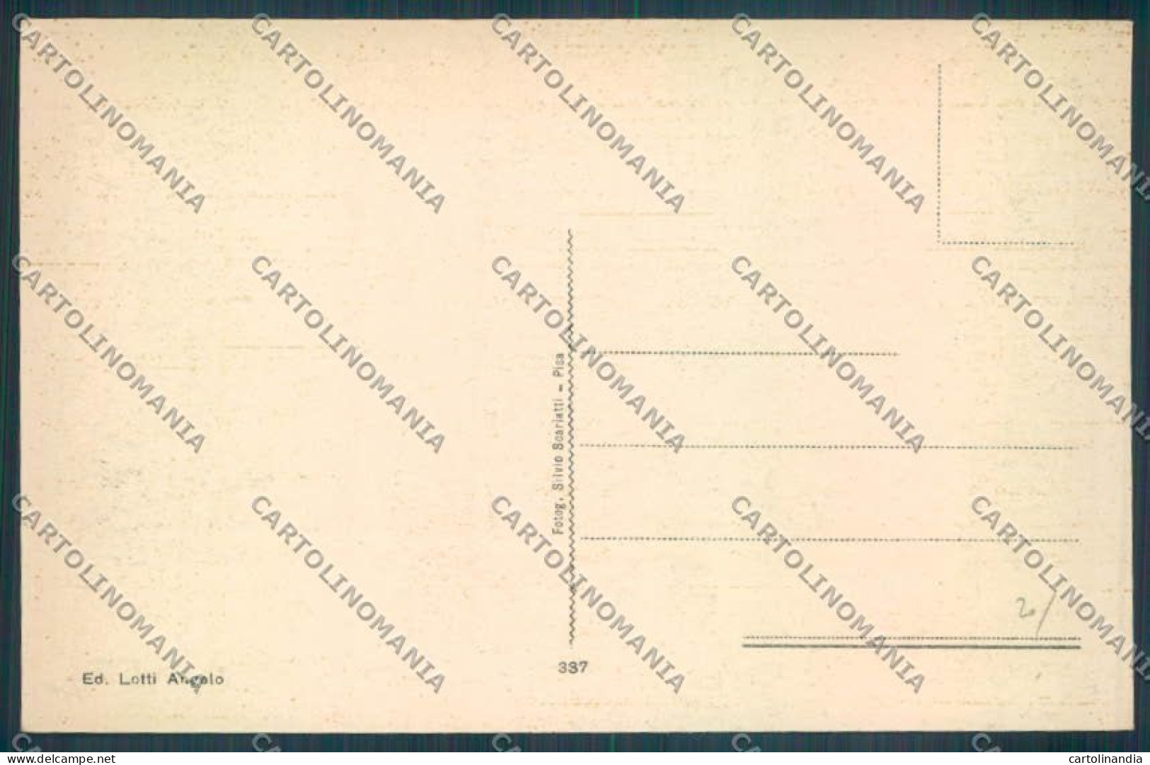 Livorno Vicarello Scuole Elementari Monumento Ai Caduti Cartolina ZB5436 - Livorno