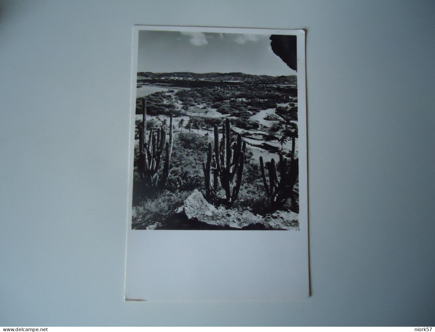 ARUBA  POSTCARDS  1952 SANTA CRUZ FROM KANASHITO BLUFF    FOR MORE PURCHASES 10% DISCOUNT - Aruba