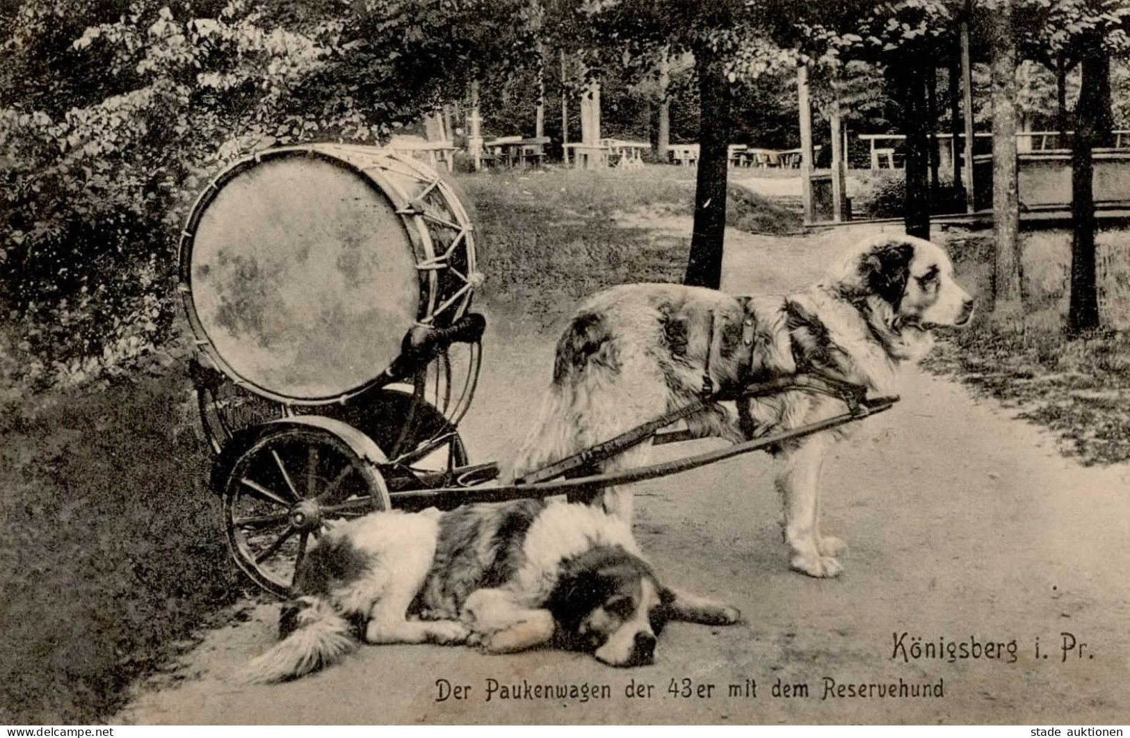 Königsberg Hundewagen 1914 I- - Russie