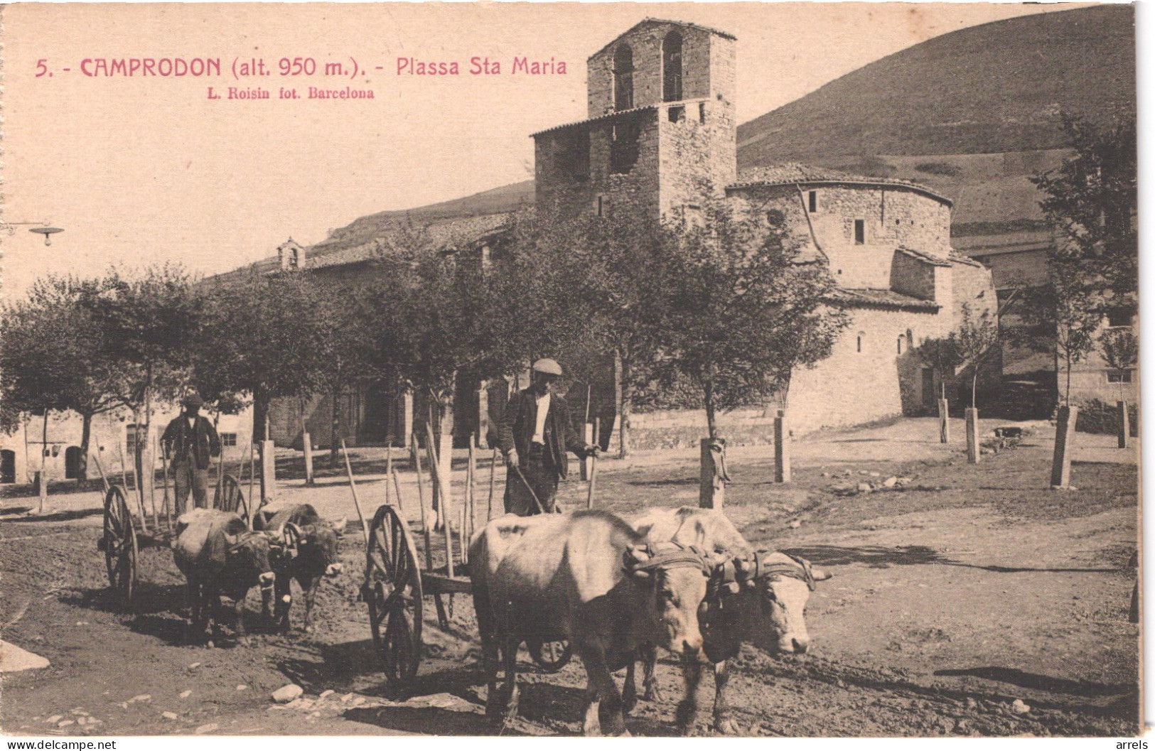 ES CAMPRODON - Roisin 5 - Plassa Santa Maria - Attelage De Boeufs - Gros Plan - Animée - Belle - Gerona