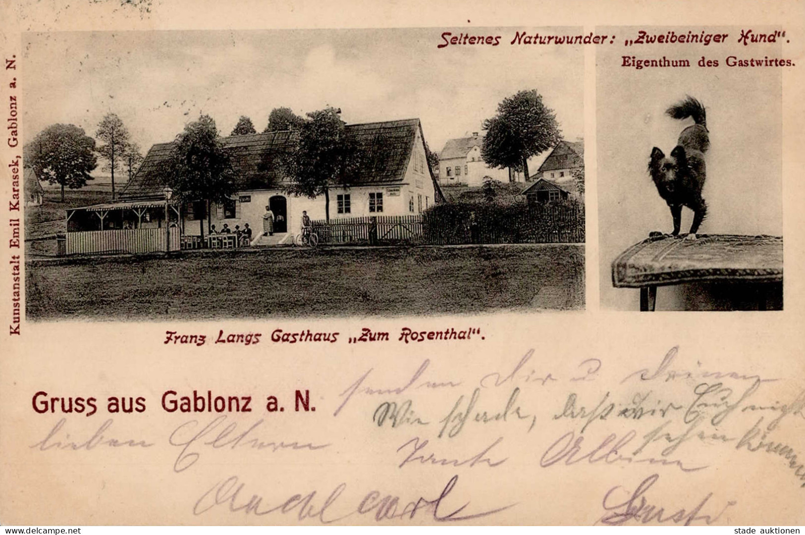 Gablonz An Der Neiße Gasthaus Zum Rosenthal Zweibeiniger Hund I-II Chien - Tchéquie