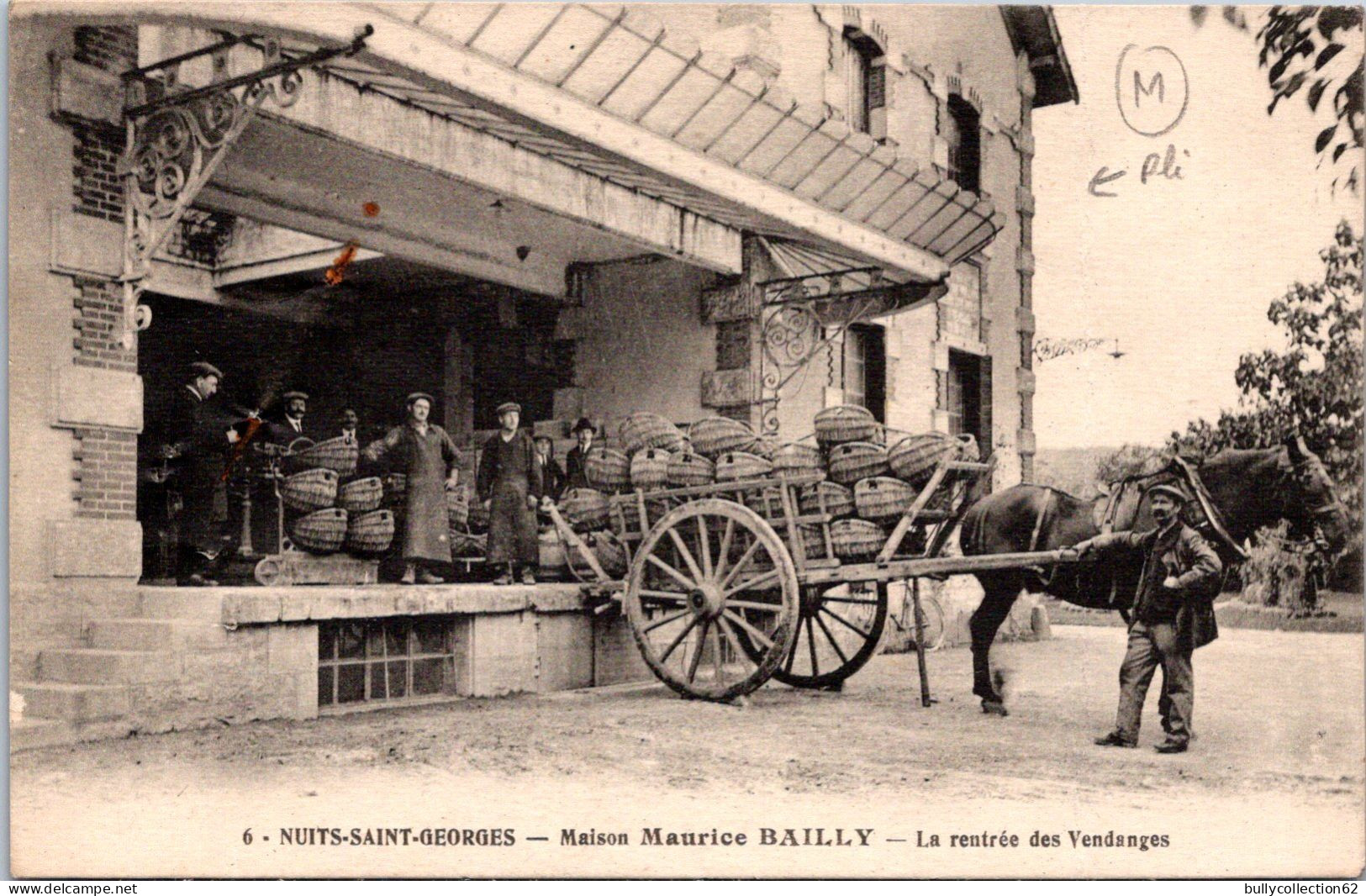 SELECTION -  NUITS SAINT GEORGES  -  Maison Maurice BAILLY -  La Rentrée Des Vendanges. (pli) - Nuits Saint Georges
