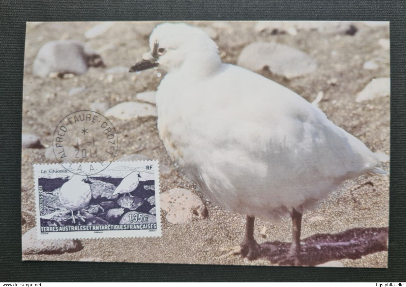 TAAF, Timbre Numéro 582 Oblitéré  De CROZET  Le 1/1/2011. - Storia Postale