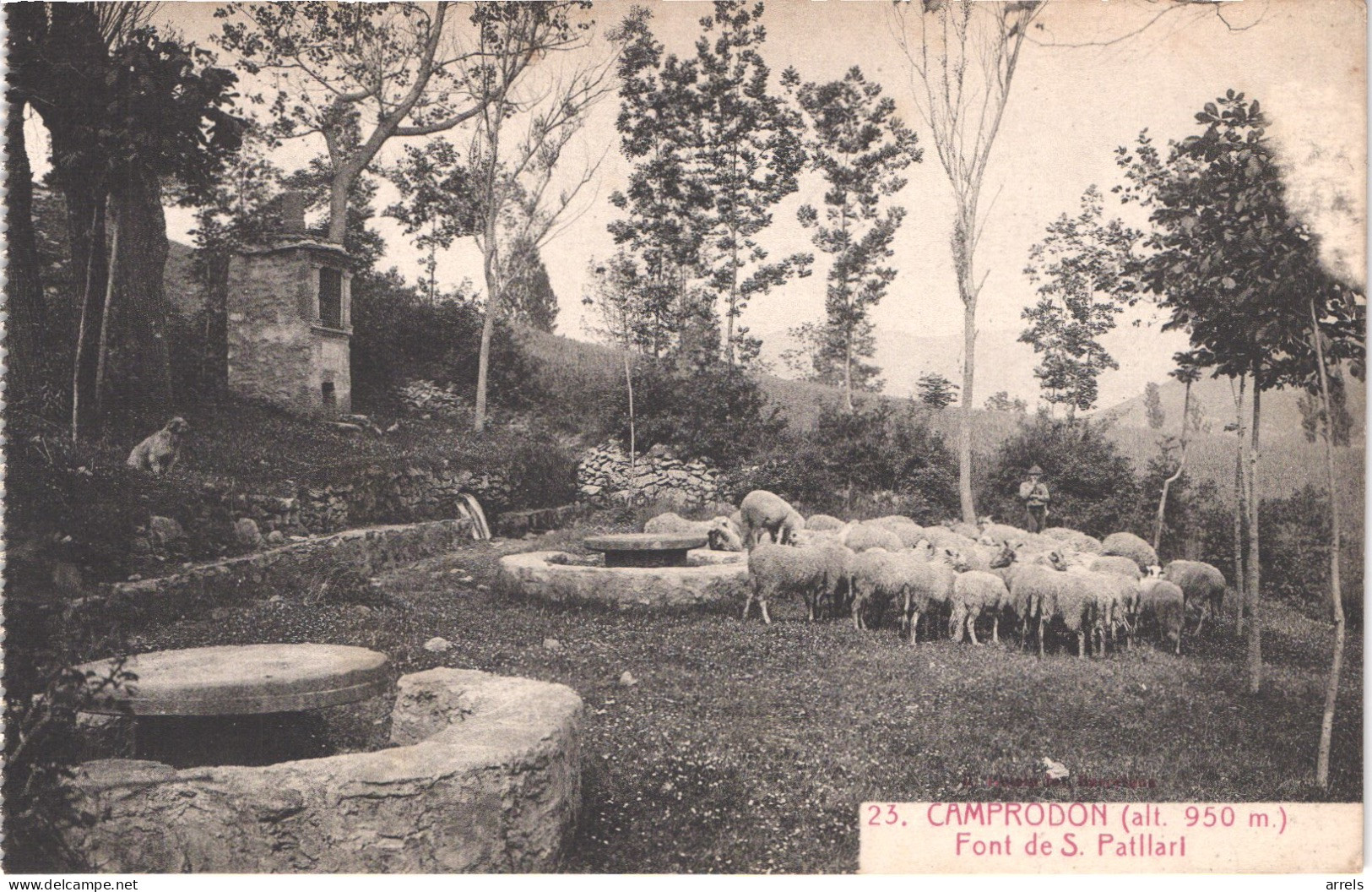 ES CAMPRODON - Planesa 23 - Font De San Patllari - Berger Et Ses Moutons - Animée - Belle - Gerona