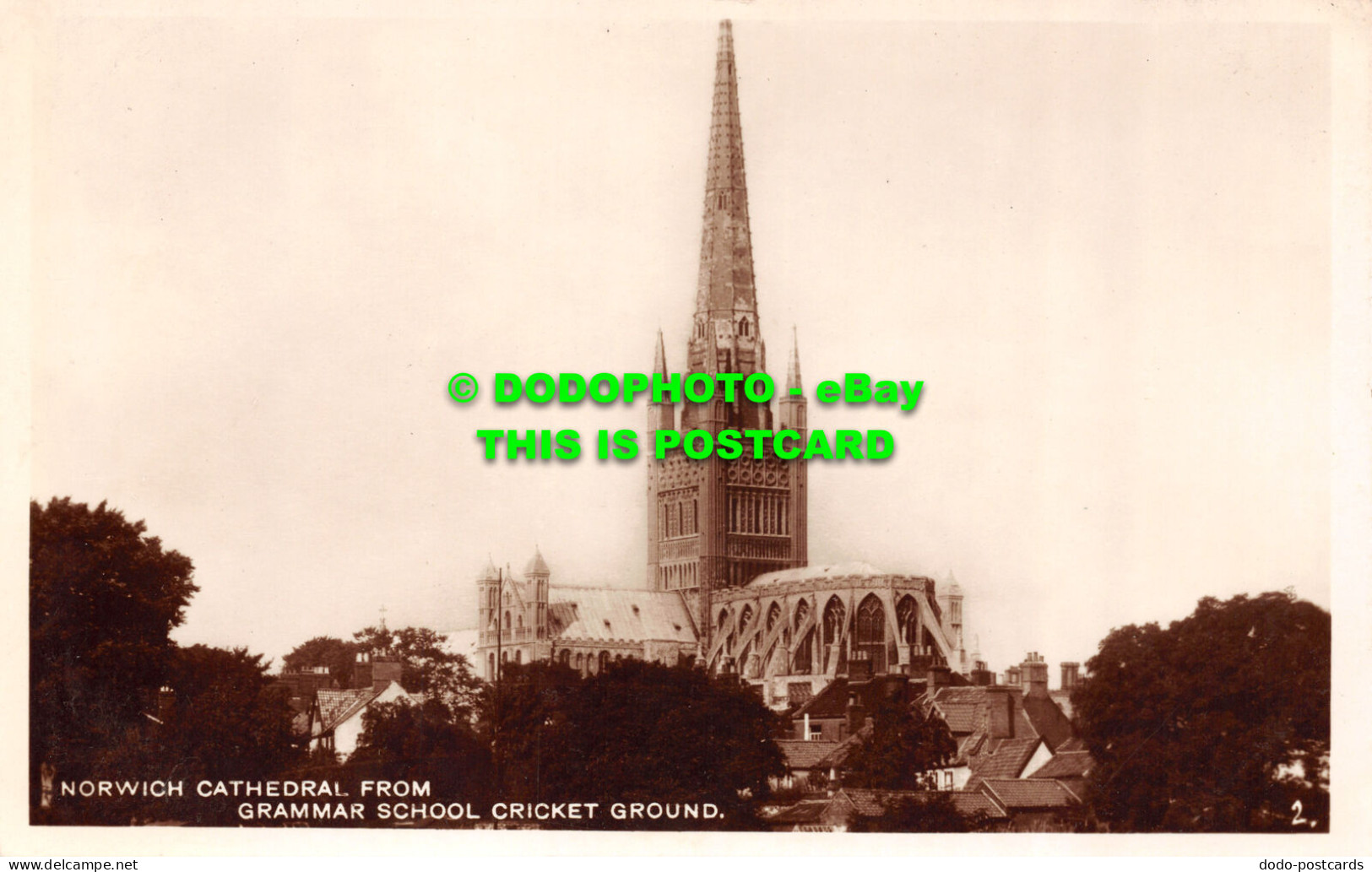 R505358 Norwich Cathedral From Grammar School Cricket Ground. RP - Monde