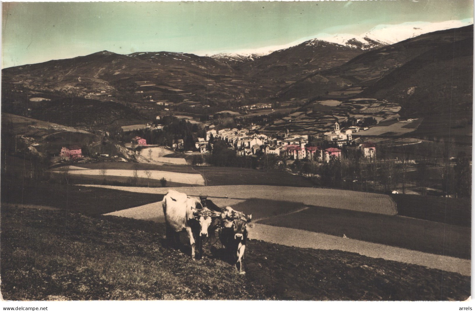 ES CAMPRODON - Planesas 1 - Vista General - Labour Aux Boeufs - Animée Belle - Gerona