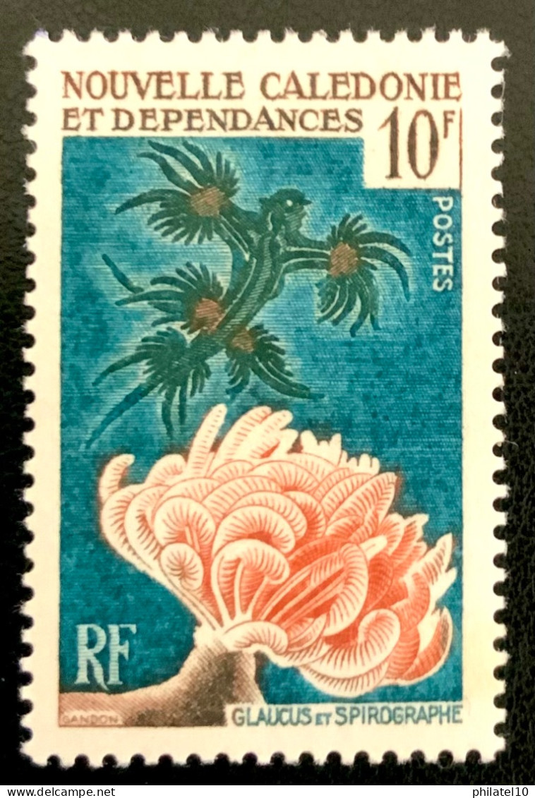 1959 NOUVELLE CALEDONIE N 293 GLAUCUS ET SPIROGRAPHE - NEUF* - Neufs