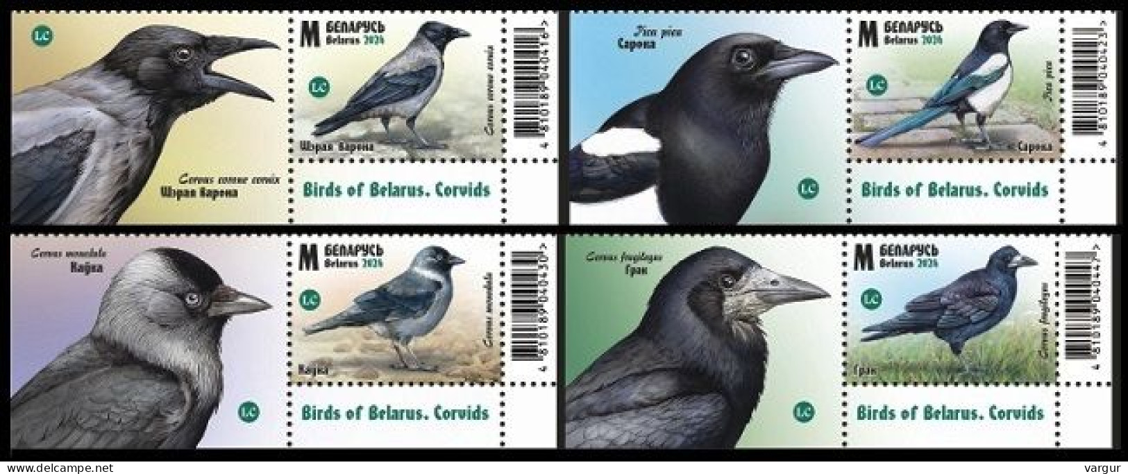 BELARUS 2024-08 FAUNA Animals Birds: Corvids. Crow Magpie Etc. Set With Attached Labels, MNH - Fattoria