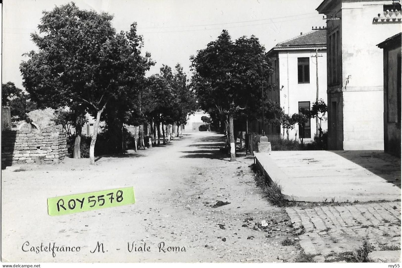 Campania-benevento-castelfranco In Miscano Viale Roma Veduta Panoramica Viale Anni 50 (10 X 15 ) - Autres & Non Classés