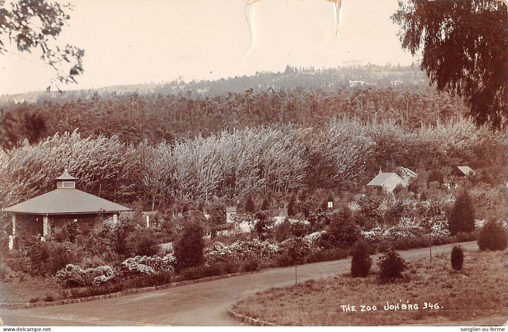 CPA / AFRIQUE DU SUD / CARTE PHOTO / SITUEE A JOHANNESBOURG - South Africa