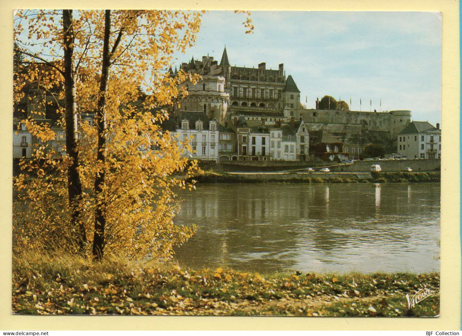 37. AMBOISE – Le Château Vu De L'ile D'or (voir Scan Recto/verso) - Amboise