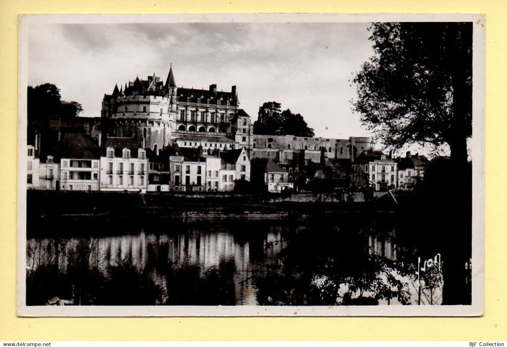 37. AMBOISE – Le Château (XVè S) Et La Loire / CPSM / Photographie Véritable (voir Scan Recto/verso) - Amboise