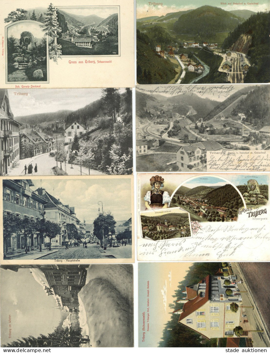Triberg Im Schwarzwald (7740) Heimatsammlung Ca. 120 Ansichtskarten Meist Vor 1945 Im Album, Etliche Bessere, Lithograph - Other & Unclassified