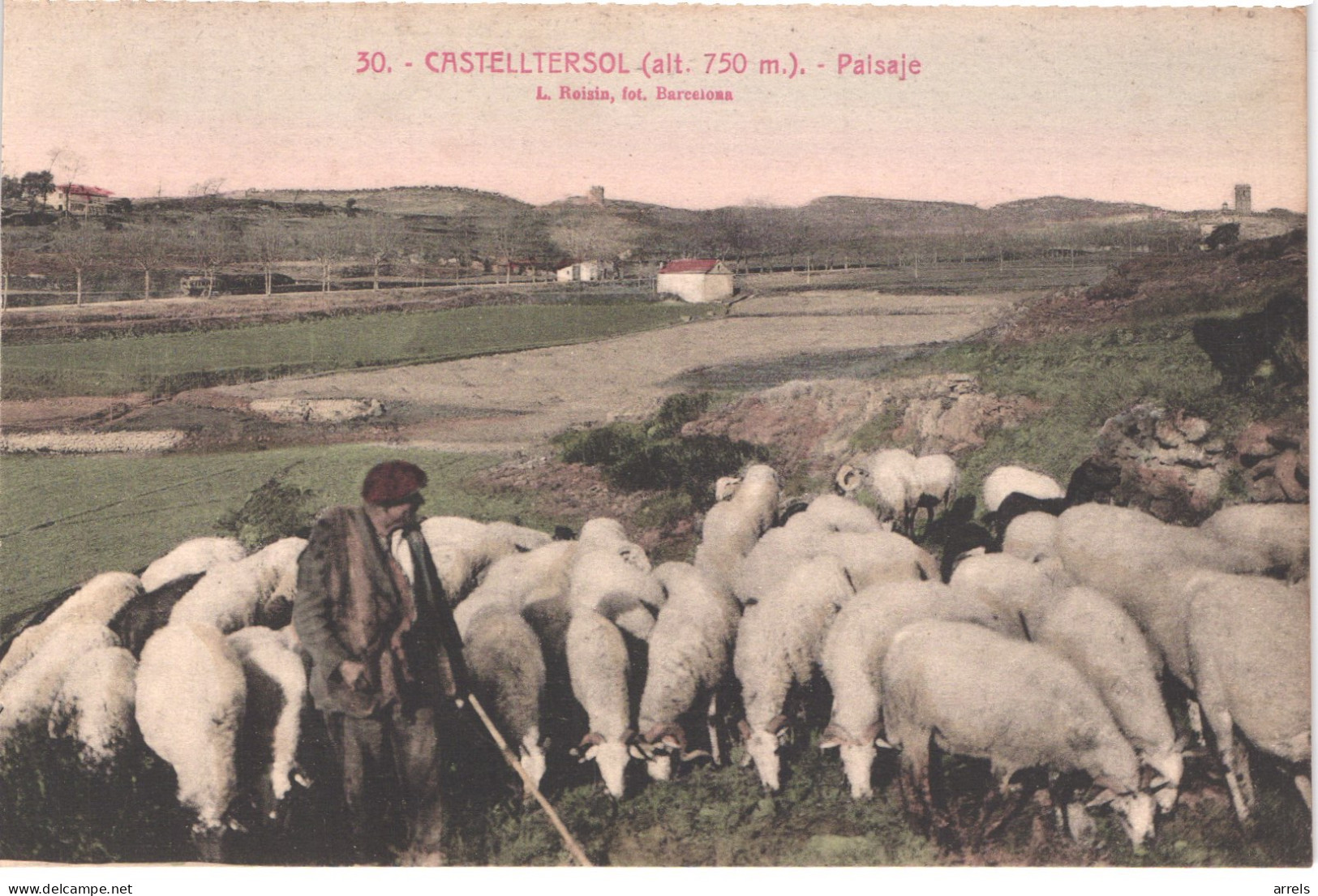 ES CASTELLTERSOL - Roisin 30 - Colorisée - Berger Et Sont Troupeau De Moutons - Animée - Belle - Barcelona