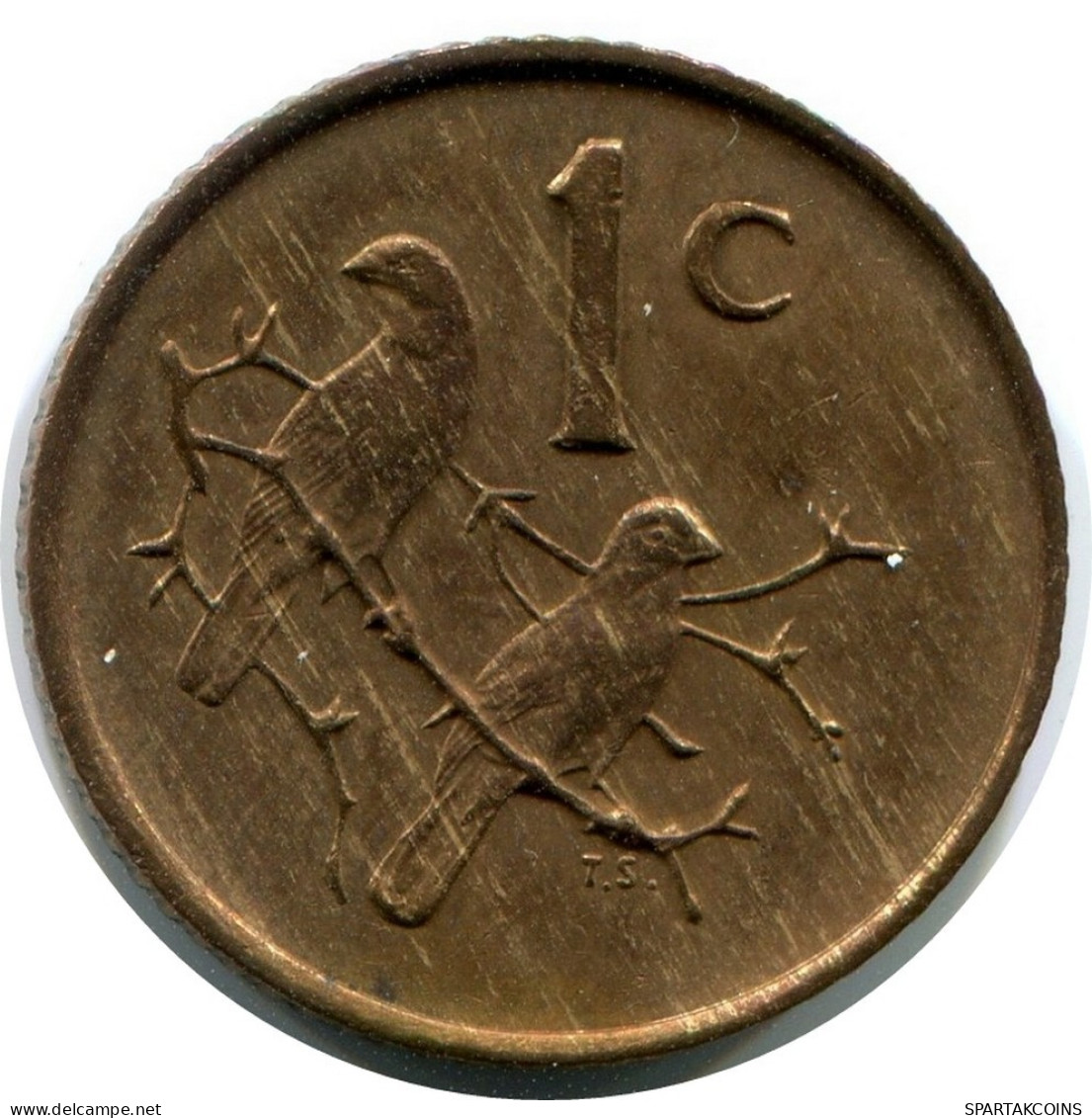 1 CENT 1981 SUDAFRICA SOUTH AFRICA Moneda #AX171.E.A - South Africa