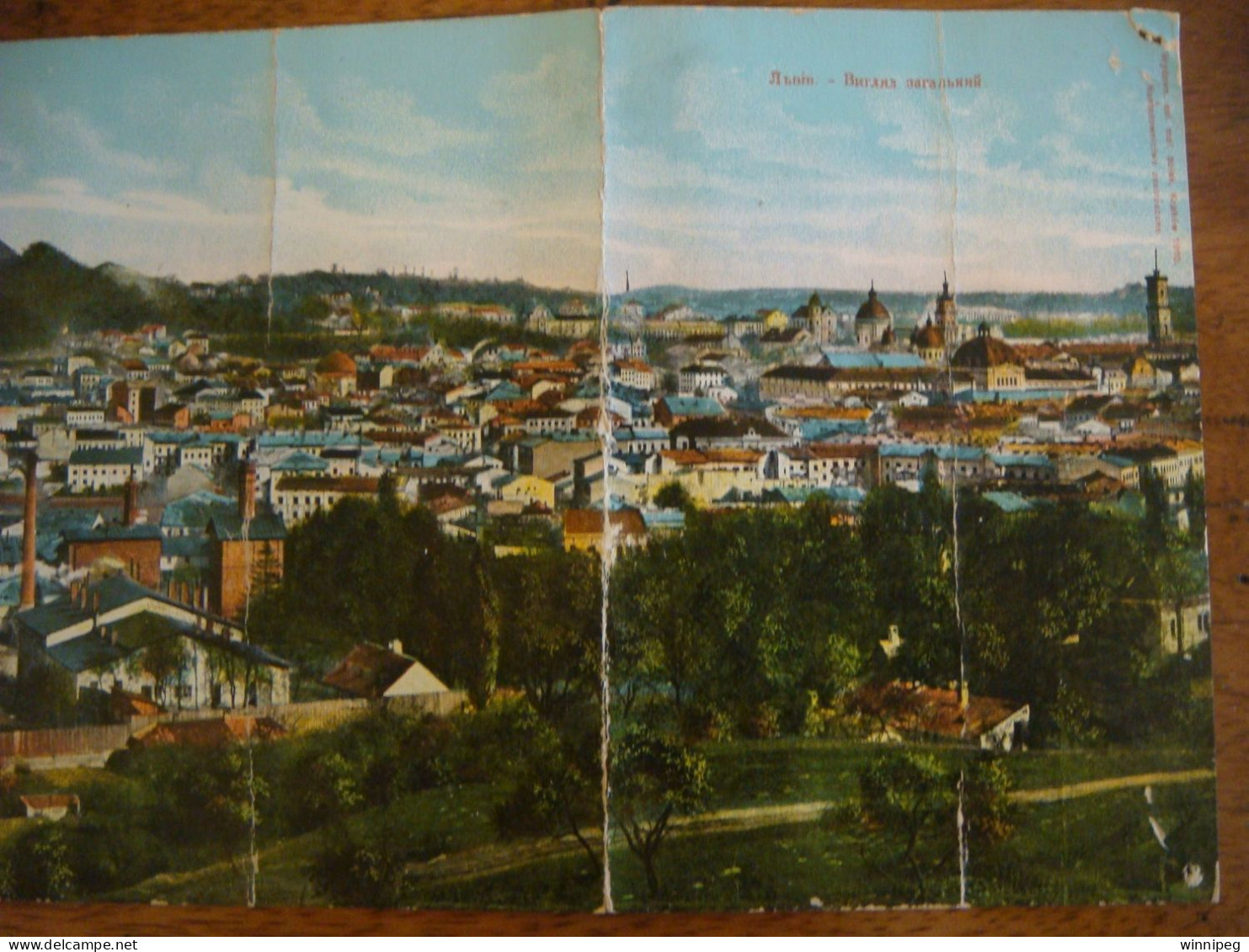 Lwow.Panorama.Rare.53/14cm.1910.Browar ,brewery,Synagogue.AS IS.Salon.Mal.polsk.Poland.Ukraine. - Ukraine