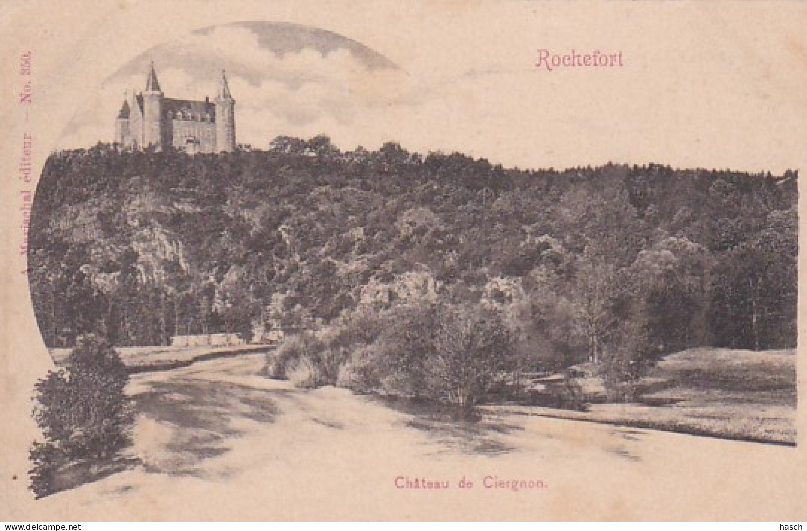 3726	55	Rochefort, Chateau De Ciergnon  - Rochefort