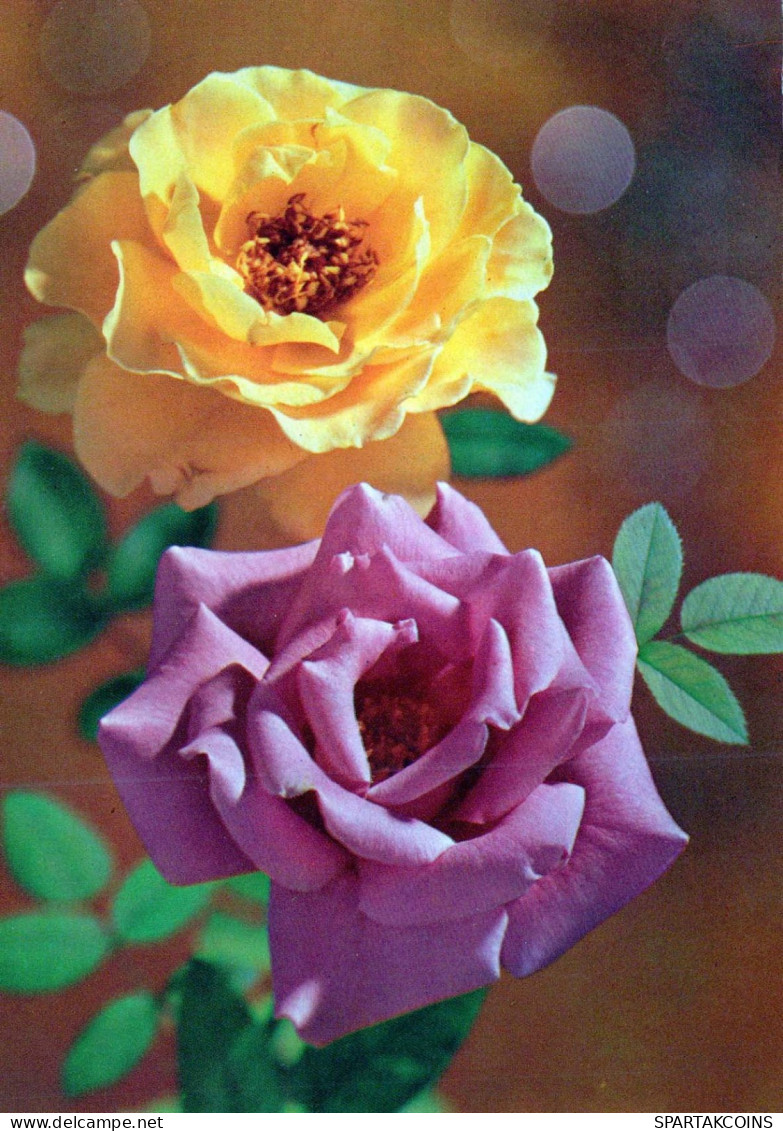 FLOWERS Vintage Ansichtskarte Postkarte CPSM #PAS173.A - Flowers