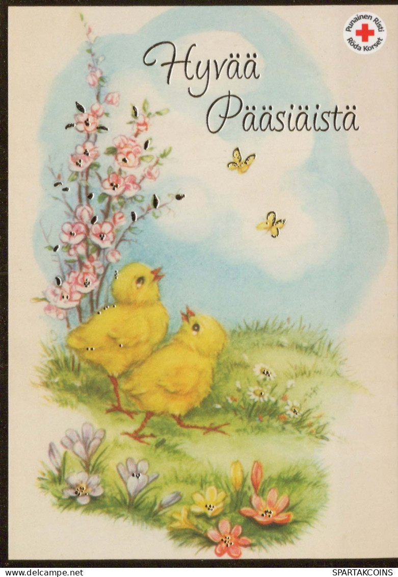 EASTER CHICKEN EGG Vintage Postcard CPSM #PBO656.A - Pasqua