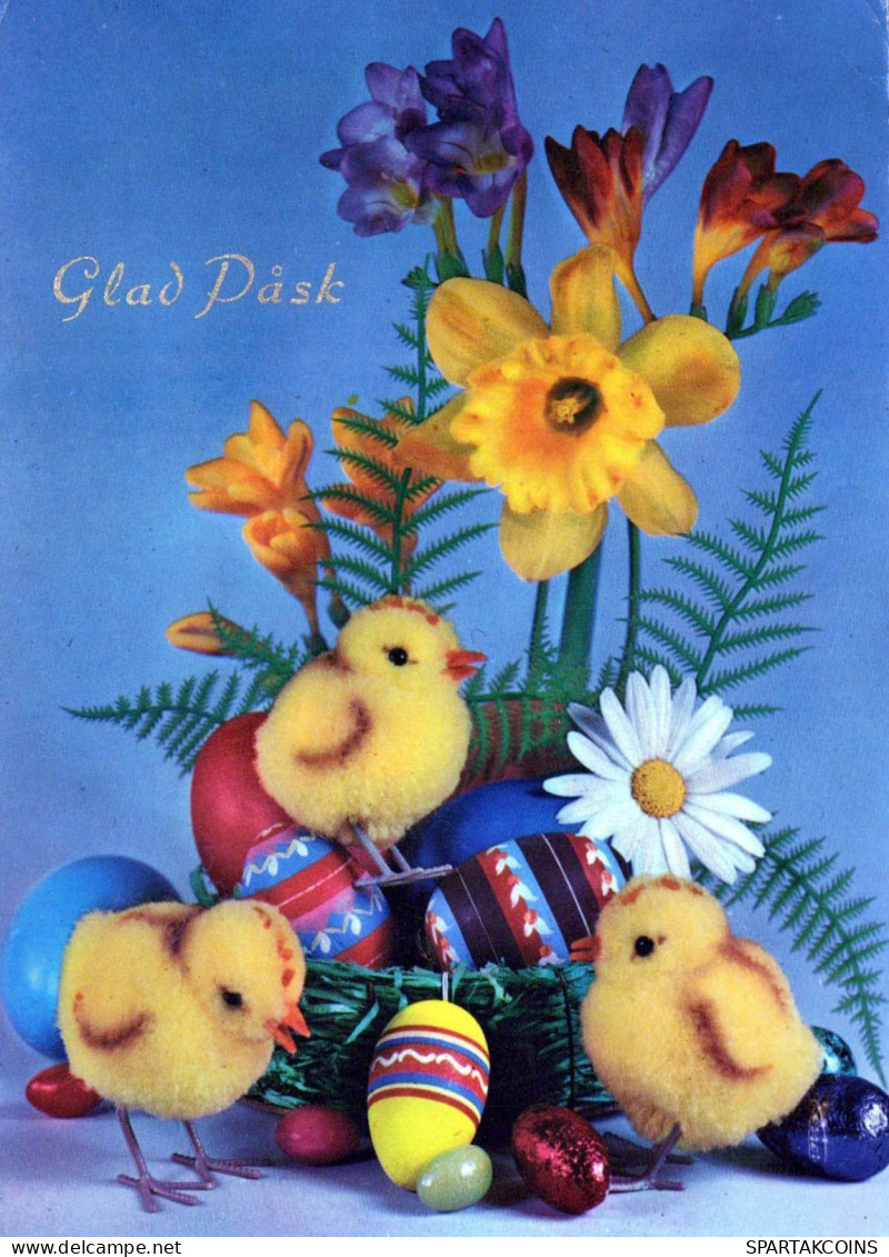 EASTER CHICKEN EGG Vintage Postcard CPSM #PBO581.A - Pasqua