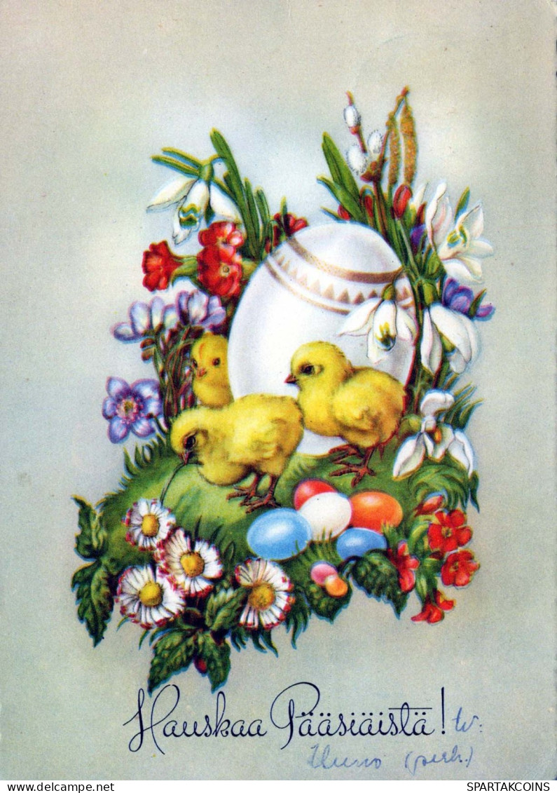 EASTER CHICKEN EGG Vintage Postcard CPSM #PBO591.A - Pasqua