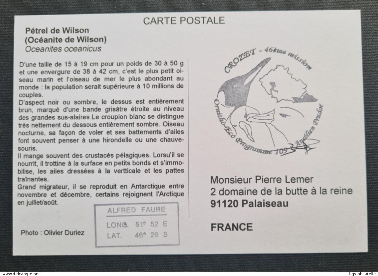 TAAF, Timbre Numéro 531 Oblitéré De CROZET  Le 18/2/2009. - Storia Postale