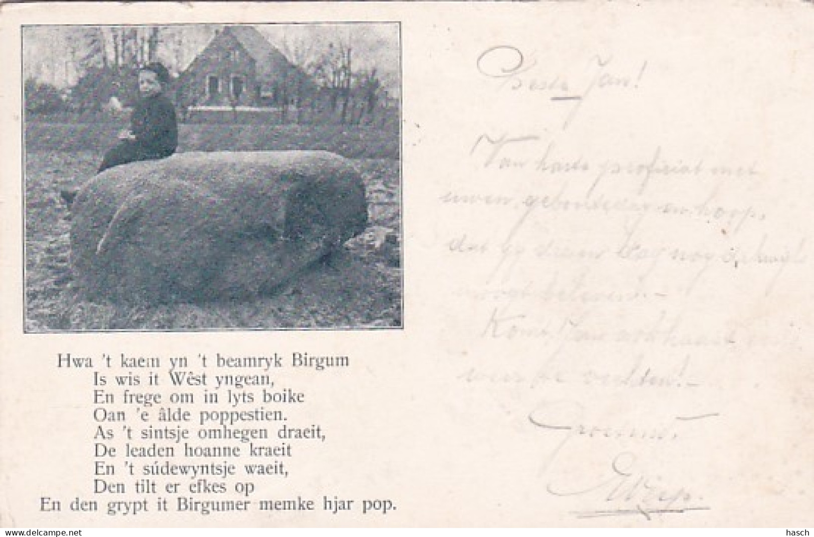 4815      20           Bergum, Hwa ’t Kaem Yn ’t Beamryk Birgum……(poststempel 1905)(minuscule  Vouwen In De Hoeken - Autres & Non Classés