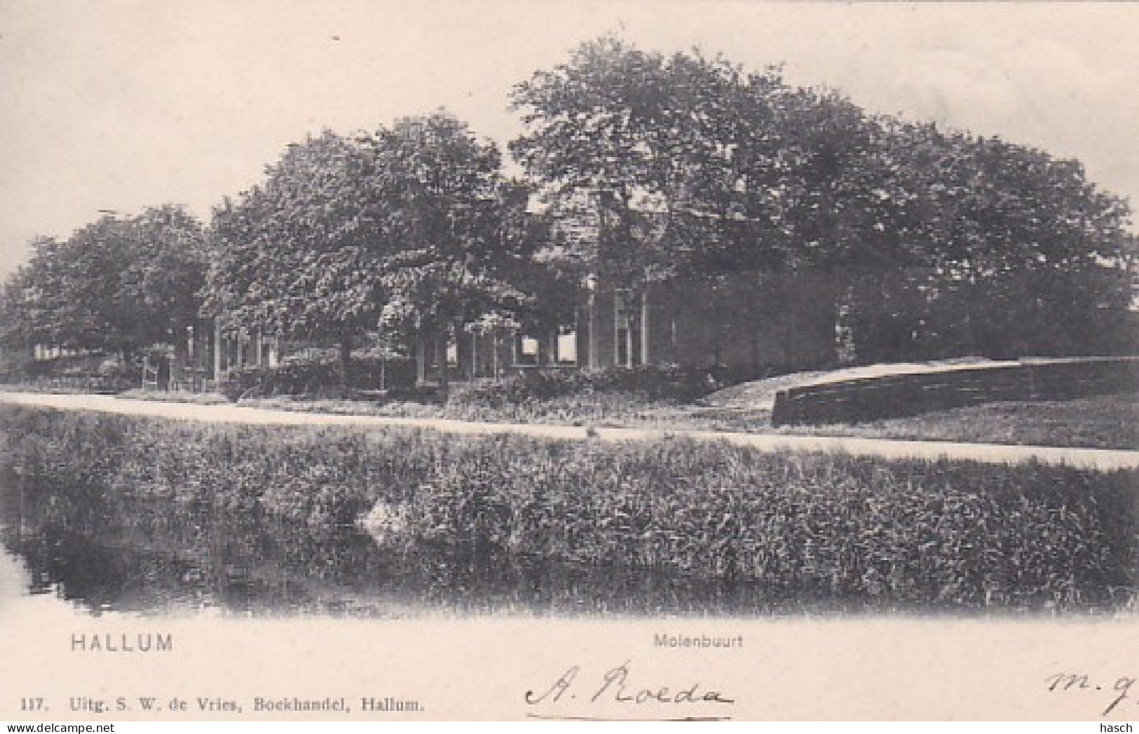 481521Hallum, Molenbuurt. (poststempel 1904) - Autres & Non Classés