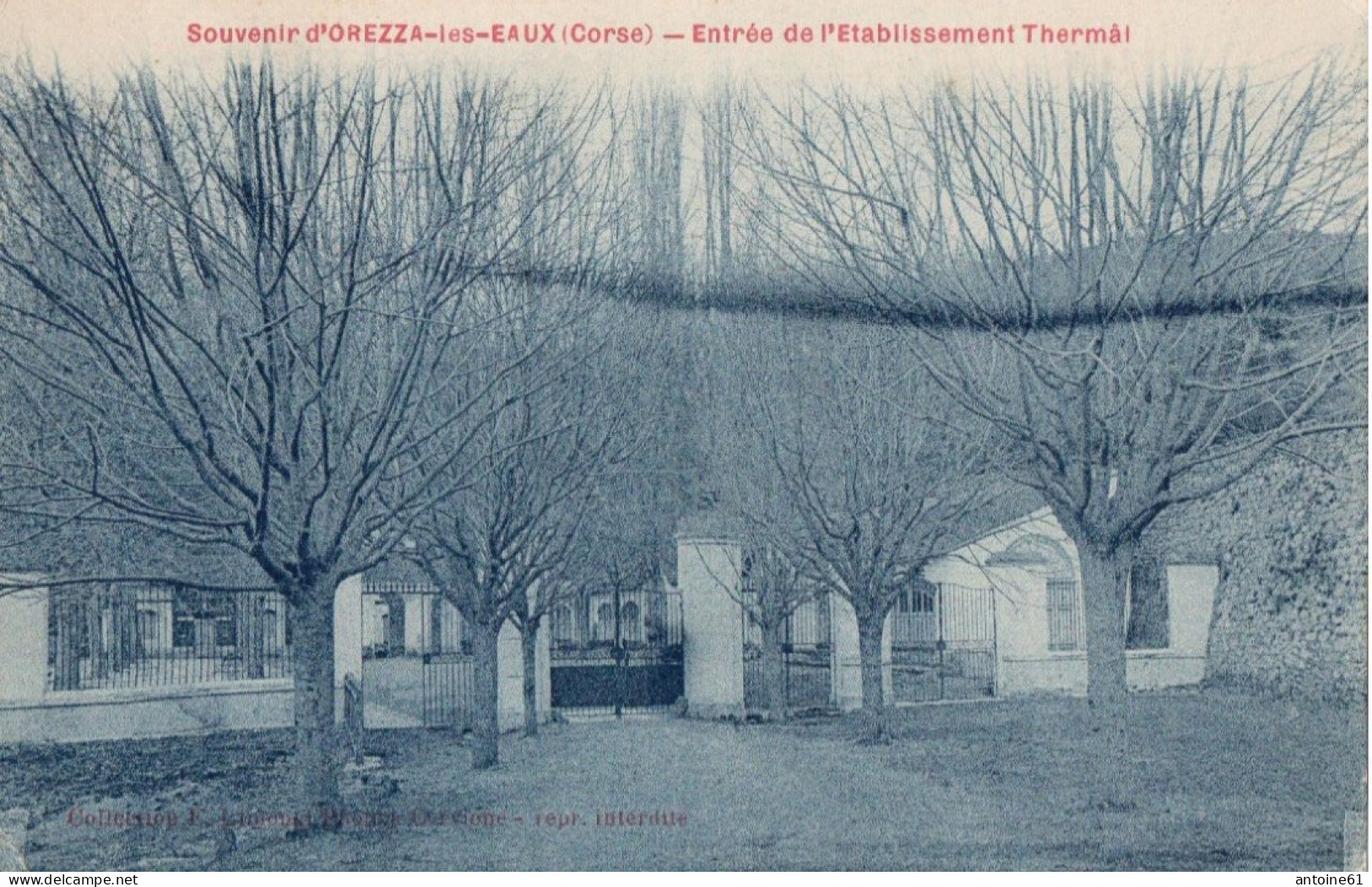 Souvenir D'OREZZA-Les-EAUX - Entrée De L'Etablissement Thermal - Sonstige & Ohne Zuordnung