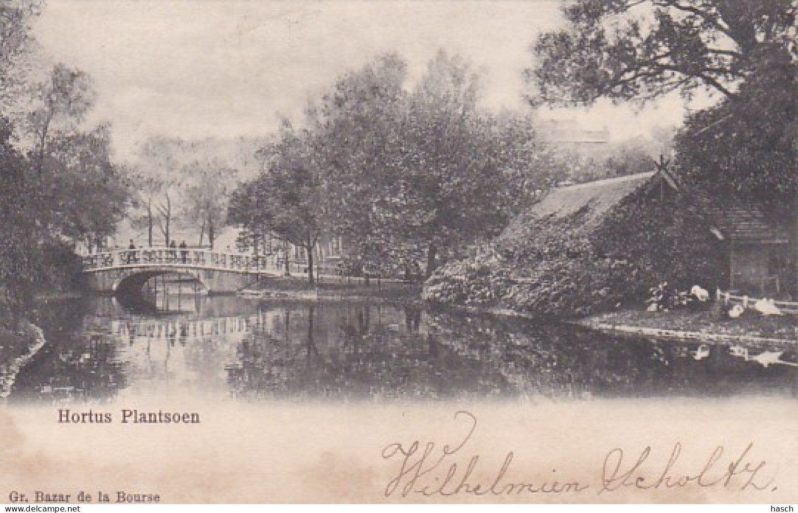 481765Amsterdam, Hortus Plantsoen 1905.(Kaart Is Iets Bobbelig Door Waterschade ?) - Amsterdam