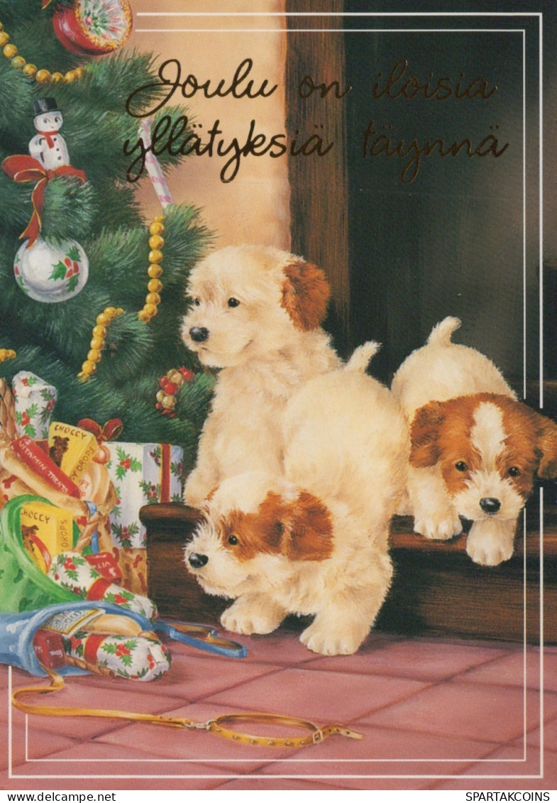 DOG Animals Vintage Postcard CPSM #PAN522.A - Chiens