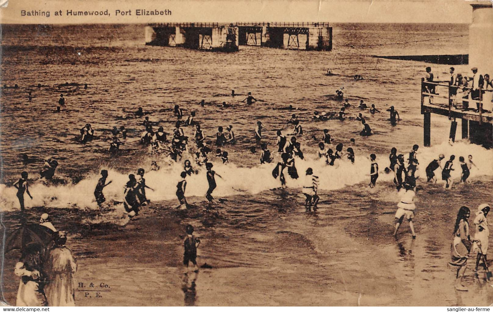 CPA / AFRIQUE DU SUD / BATHING AT HUMEWOOD / PORT ELIZABETH - Sudáfrica