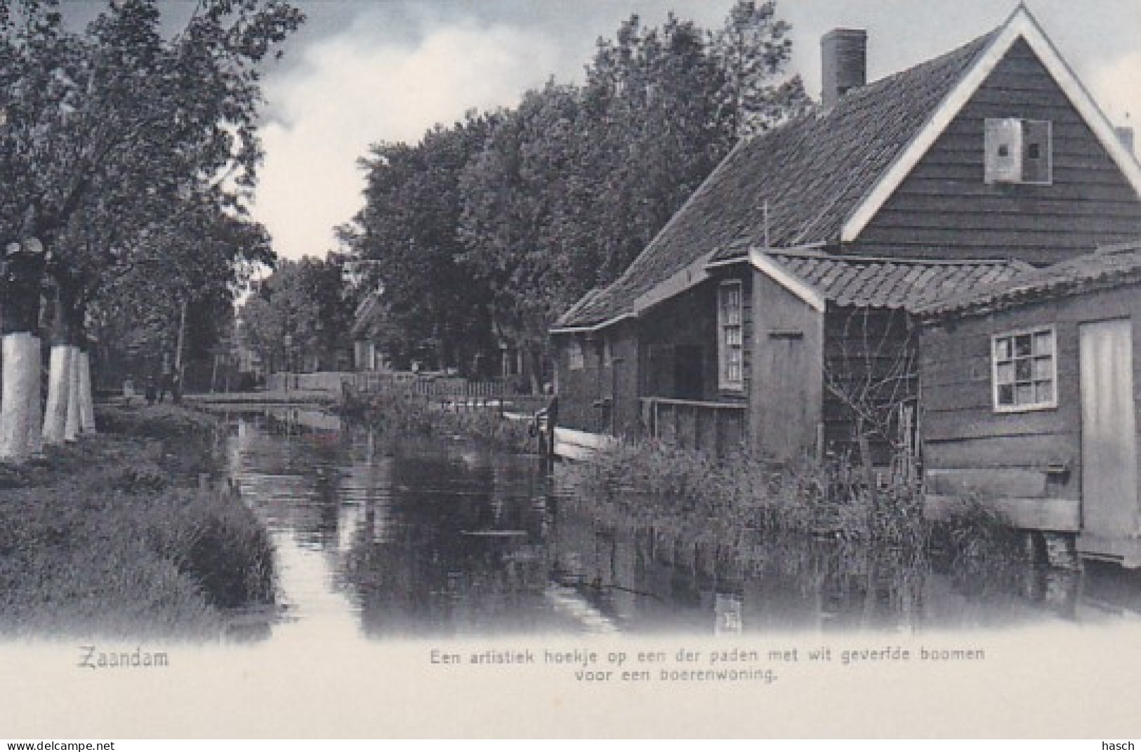 481611Zaandam, Een Artistiek Hoekje Op Een Der Paden Met Wit Geverfde Boomen Voor Een Boerenwoning. - Zaandam