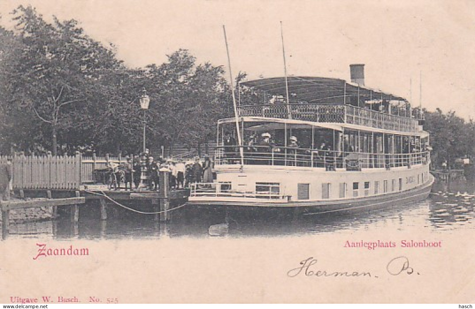 481659Zaandam, Aanlegplaats Salonboot Rond 1902. (achterkant Is Aan Het Los Laten) - Zaandam