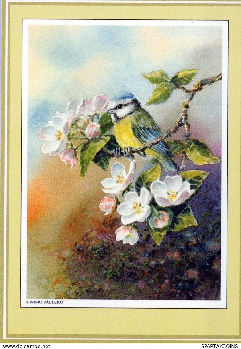 VOGEL Tier Vintage Ansichtskarte Postkarte CPSM #PBR578.A - Birds