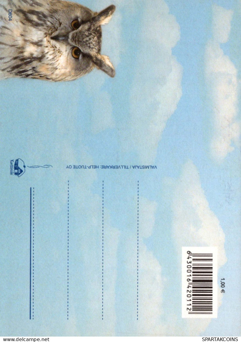 PÁJARO Animales Vintage Tarjeta Postal CPSM #PBR475.A - Birds