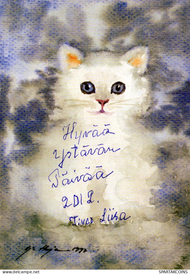 GATTO KITTY Animale Vintage Cartolina CPSM #PBQ910.A - Chats